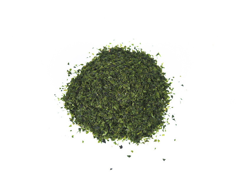 Broken seaweed